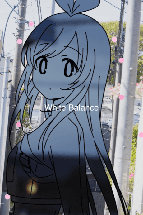 White Balance
