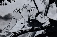 Ari to Hato